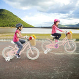 14" Kid's Bike with Training Wheels and Adjustable Handlebar Seat - Evolvate Pro