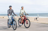 E - Bike - Evolvate Pro