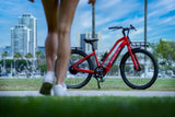 E - Bike - Evolvate Pro