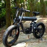 Off Road Fat Tire 500W Shimano 7 Speed E - Bike All Terrain - Evolvate Pro