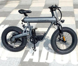 Off Road Fat Tire 500W Shimano 7 Speed E - Bike All Terrain - Evolvate Pro
