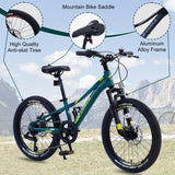 Mountain Bike for Girls and Boys Mountain 20 inch shimano 7-Speed bike - Evolvate Pro