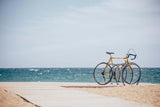 The Scientific Breakdown of Electric Bikes - Evolvate Pro