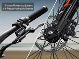 Rundeer Attack 11 Moped Style Electric Bike