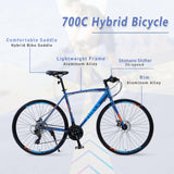 24 Speed Hybrid Bike Disc Brake 700C Road Bike For Men & Women City Bicycle - Evolvate Pro