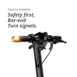 VX5 PRO - VMAX Electric Scooter
