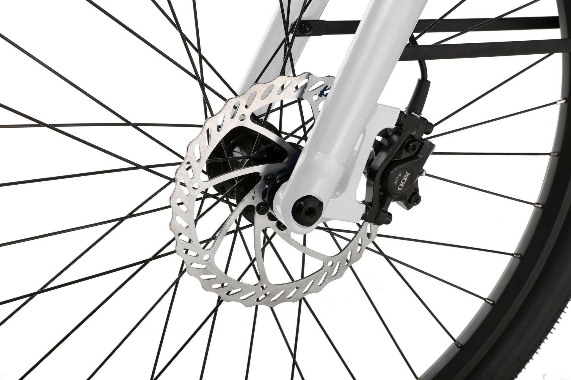 E - Bike - Evolvate Pro