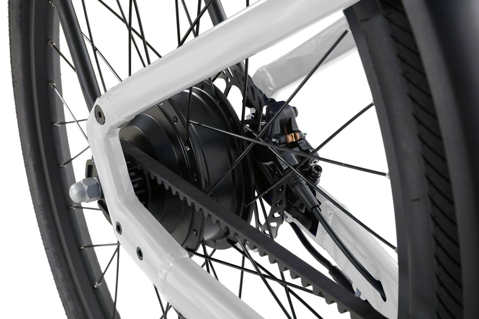 E - Bike - Evolvate Pro