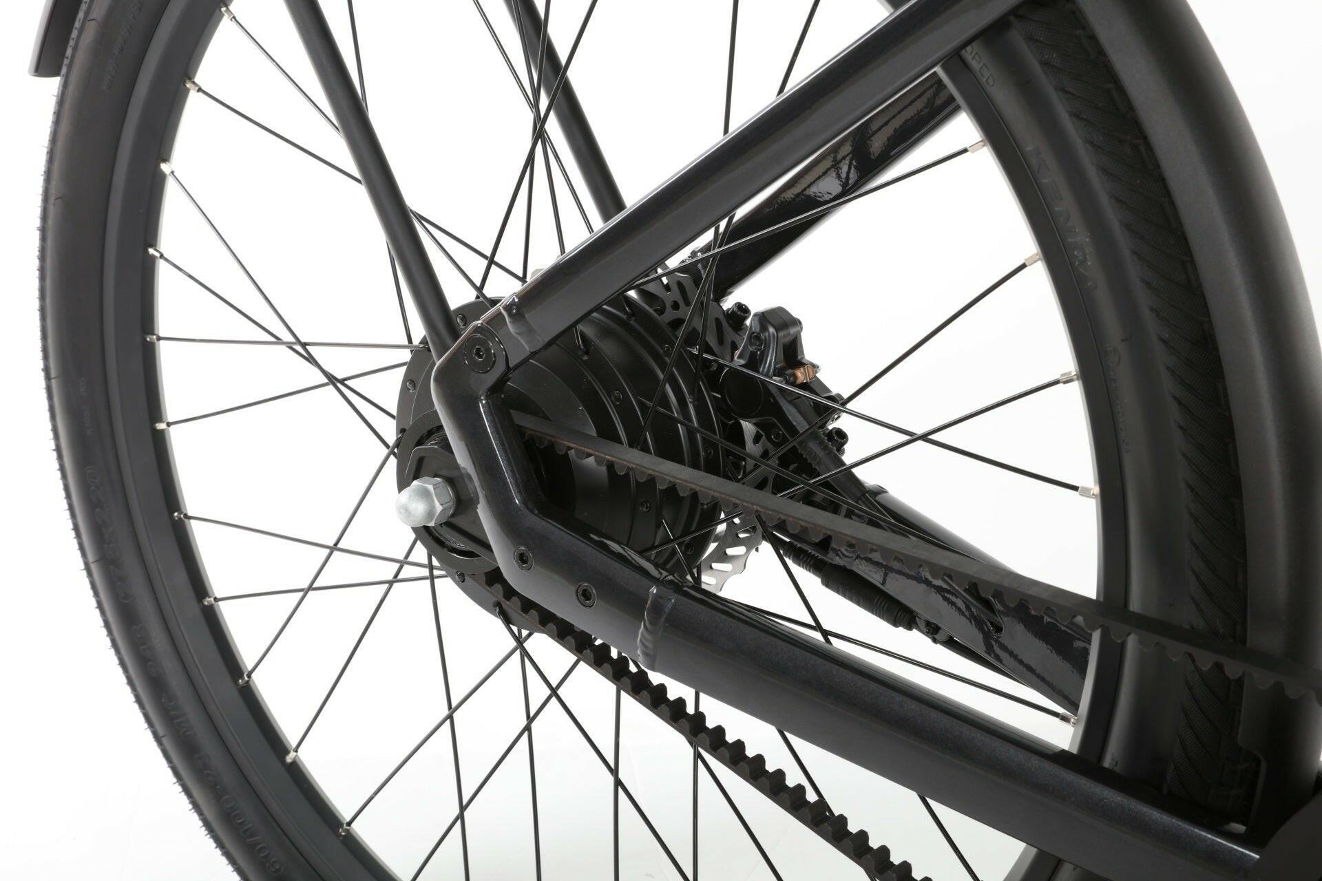 E - Bike - Evolvate Pro