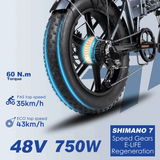 ENGWE EP-2PRO 48V13Ah 45km/h 20 Inch Fat Tire 750W Mountain E-Bike - Evolvate Pro