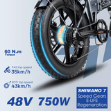 ENGWE EP-2PRO 48V13Ah 45km/h 20 Inch Fat Tire 750W Mountain E-Bike - Evolvate Pro