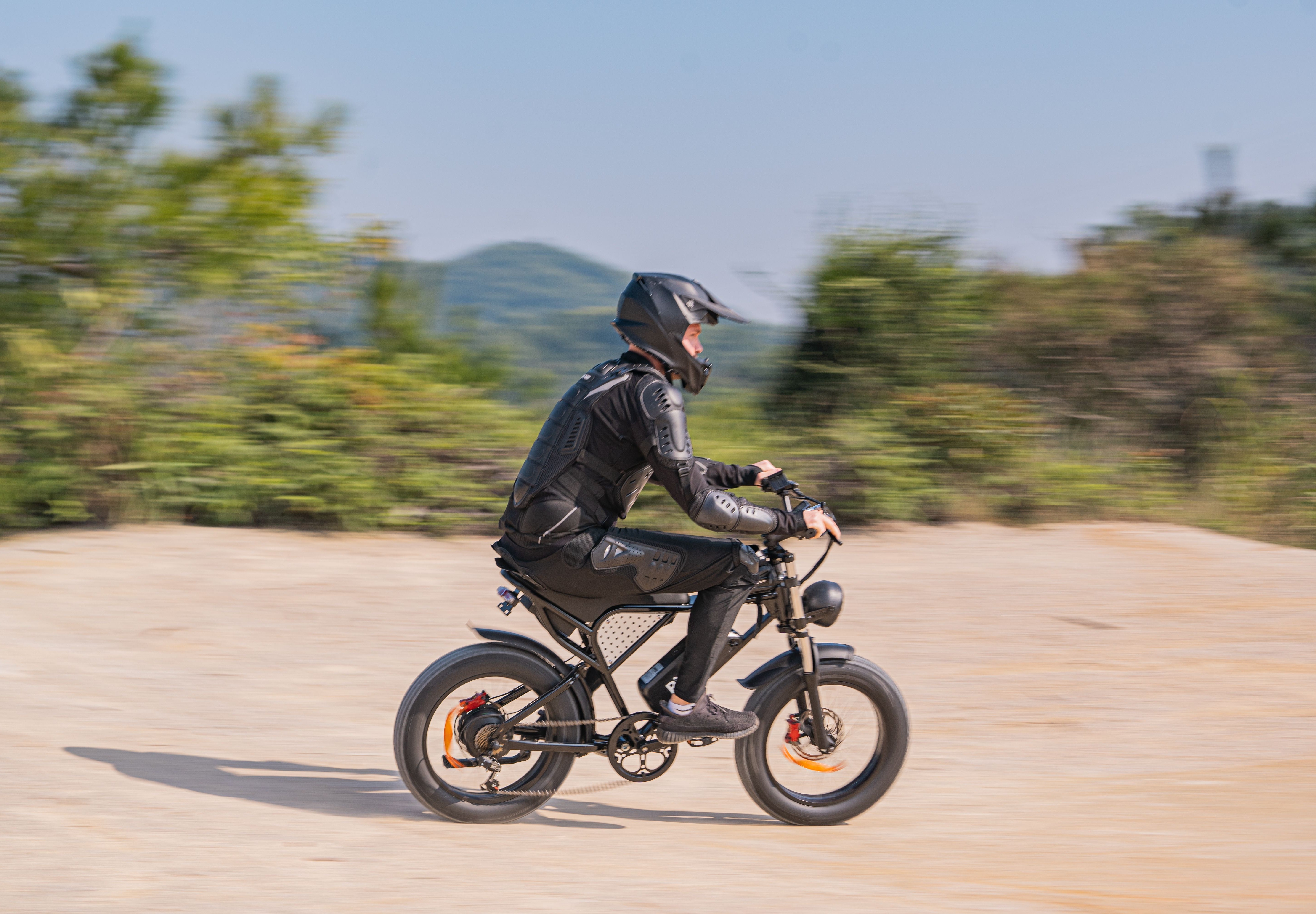 Ultimate Electric Fat Tire Bike - 1000W 48V 20Ah for Home Delivery Adventures