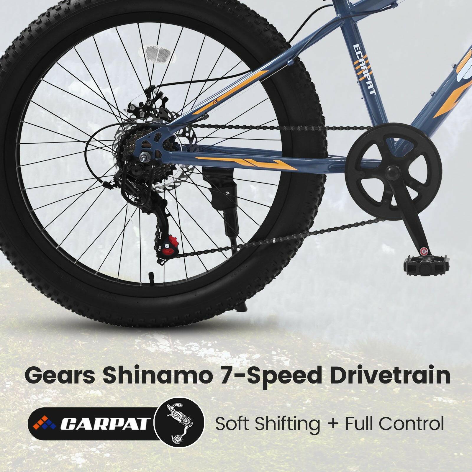 S24109 Elecony 24 Inch Fat Tire Bike Adult/Youth Full Shimano 7 Speeds Mountain Bike, Dual Disc Brake, High - Carbon Steel Frame, Front Suspension, Mountain Trail Bike, Urban Commuter City Bicycle - Evolvate Pro